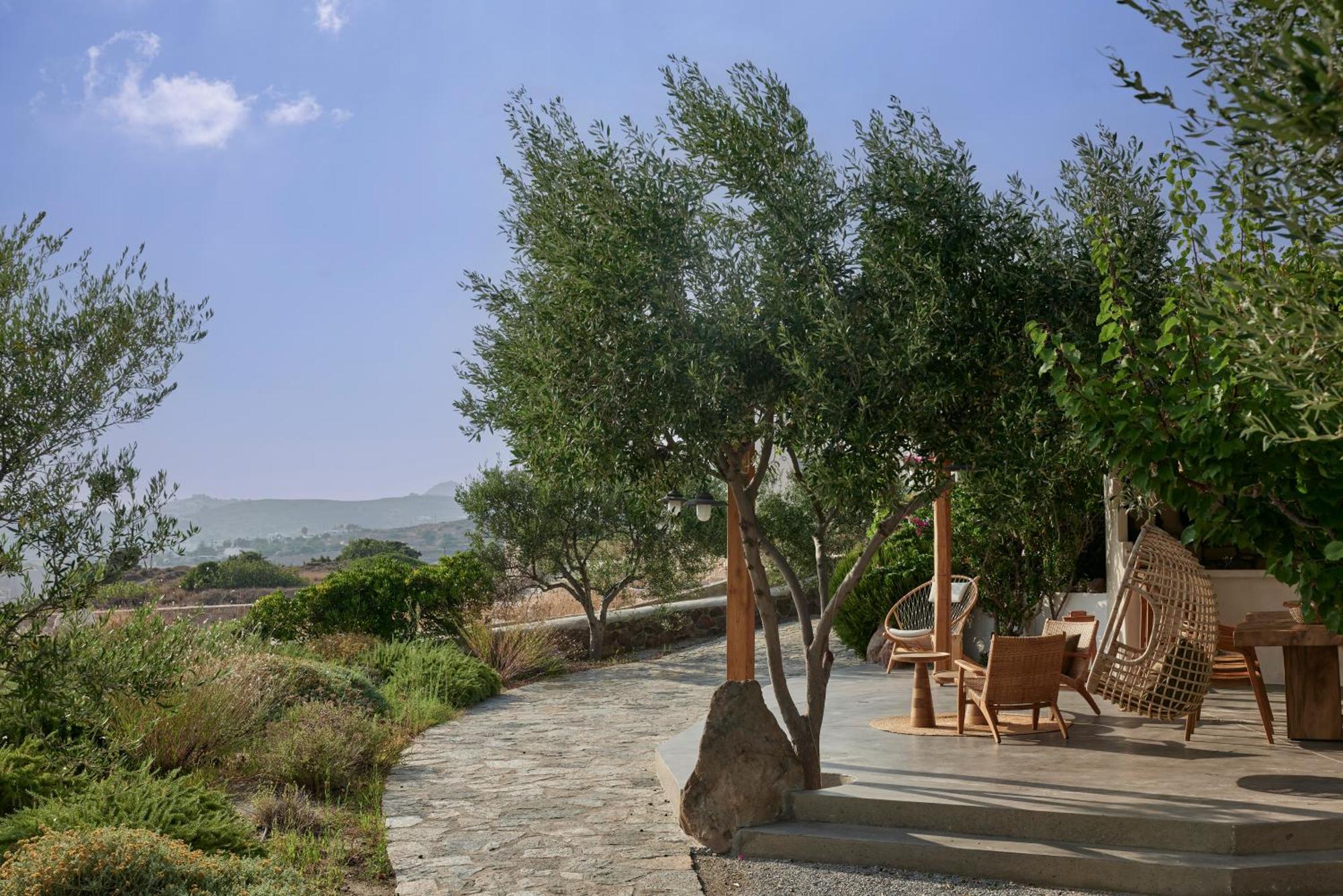 شقة Iliana Olive Branch آداماس المظهر الخارجي الصورة